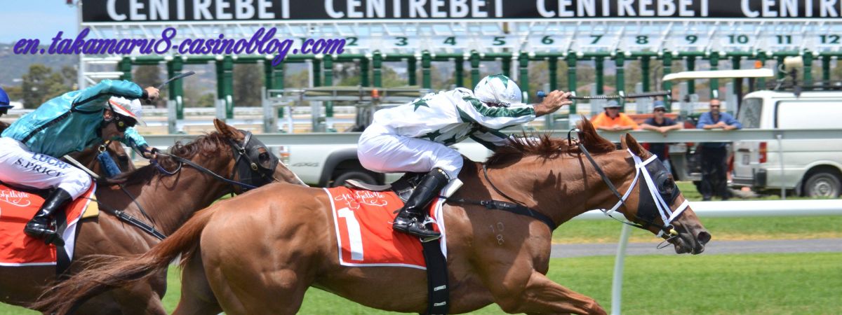en.takamaru8-casinoblog.com